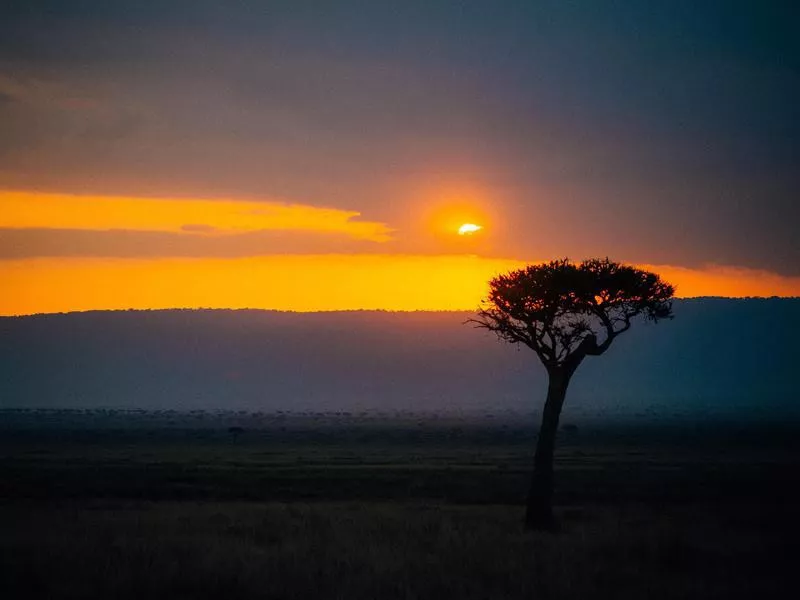 An Orange Sunset to Remember