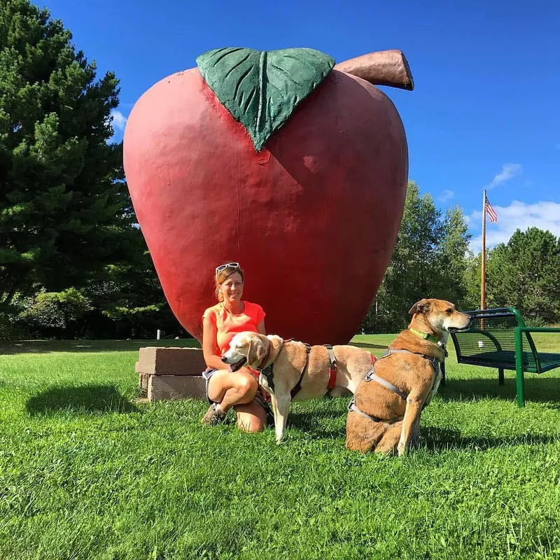 Dogs in Bayfield, Wisconsin