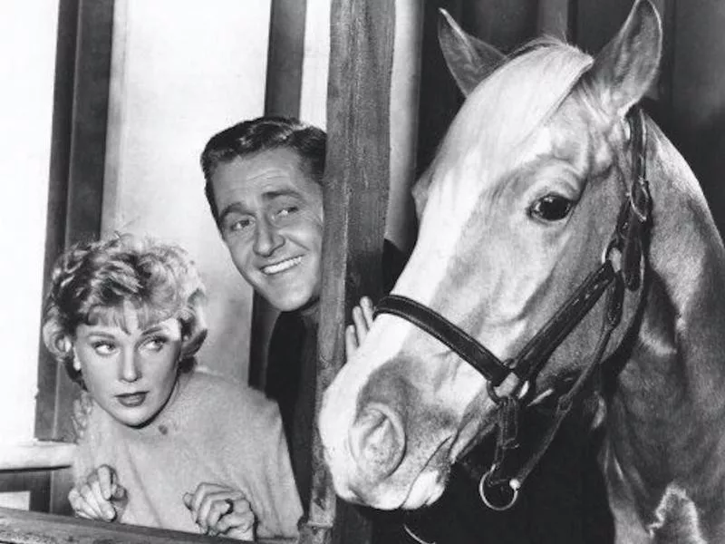 Mister Ed