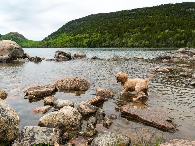 Acadia National Park