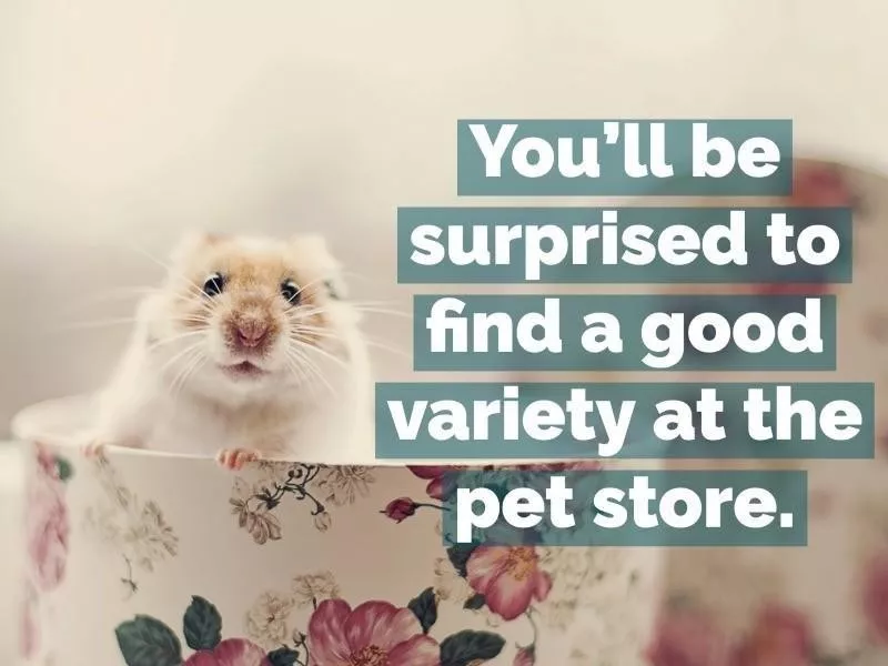 pet store