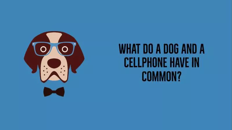 Dog jokes about cellphones