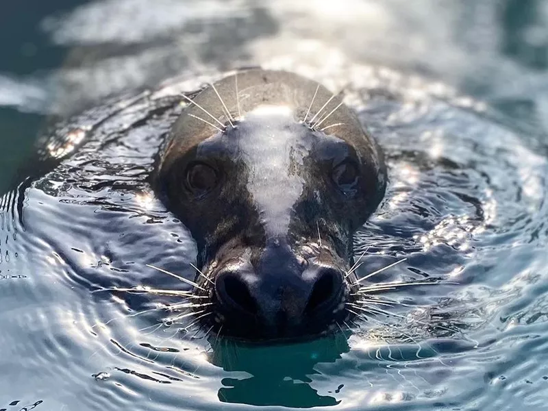 Lincoln Park Zoo