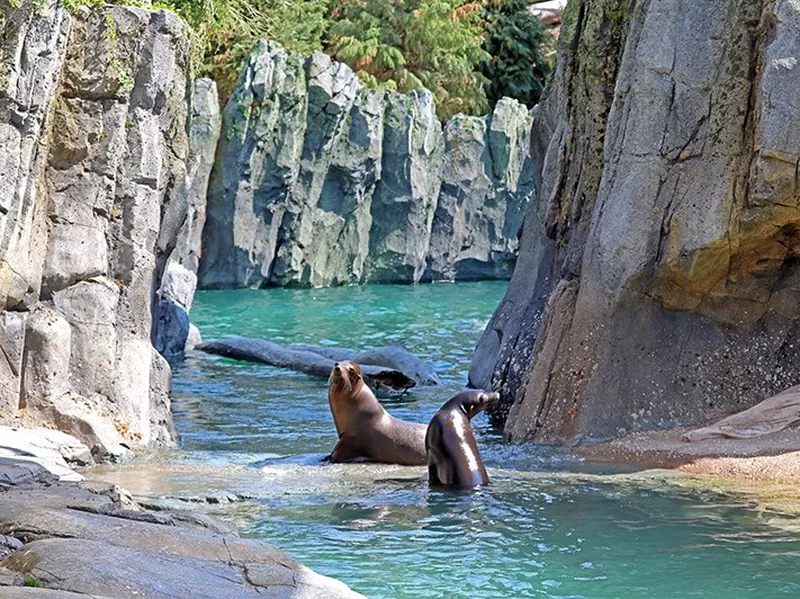 Omaha's Henry Doorly Zoo and Aquarium