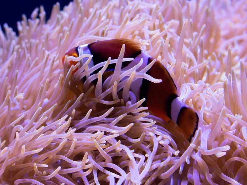 Seattle Aquarium