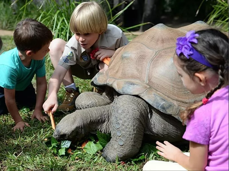 The Zoo as a Classroom