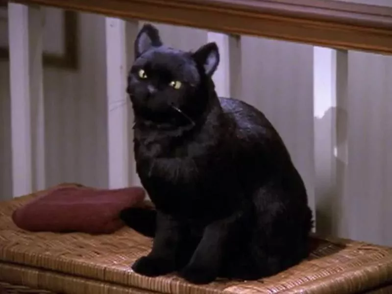 Salem