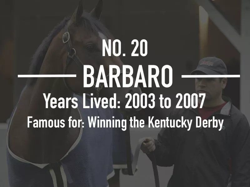 Barbaro