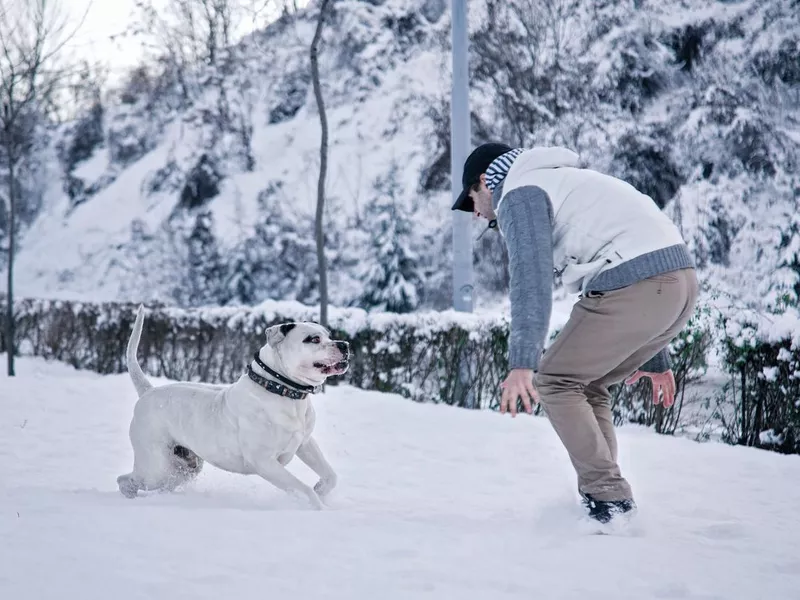 Man with dog in snow