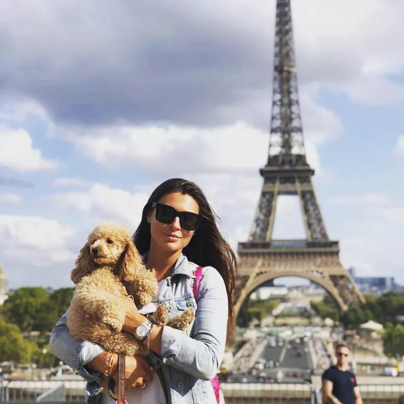 Cute toy poodle in Paris